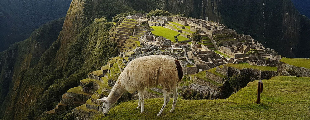 Between the Andes and the Desert - Machu Picchu Tour Between the Andes and the Desert - Machu Picchu Tour