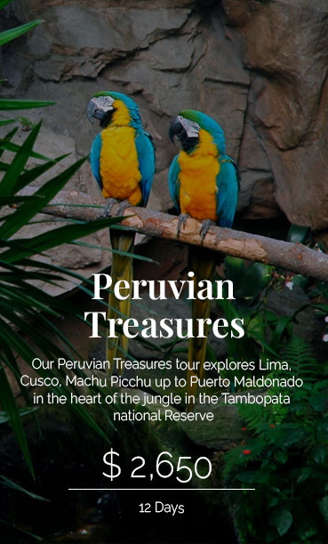 Peru InsideOut: Peruvian Treasures