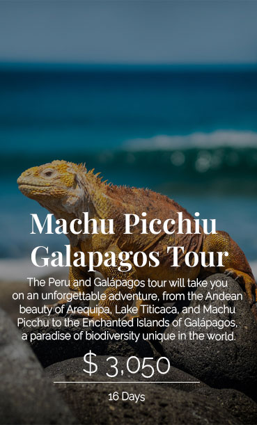 Peru InsideOut: Machu Picchiu Galapagos Tour