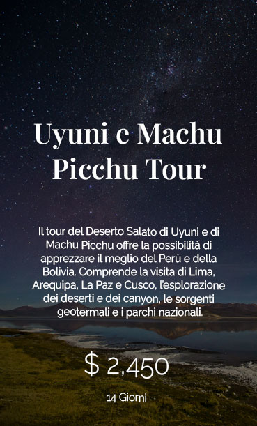 Viaggi Peru InsideOut: Uyuni Machu Picchu